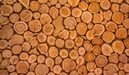 Изображение Баня из газобетона 34 м² - №14